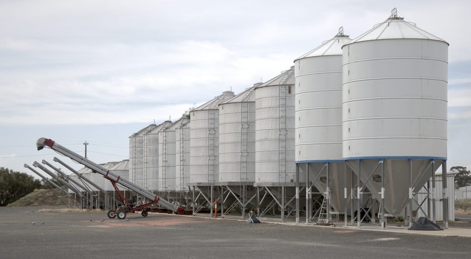 Grain Storage Facility Audit