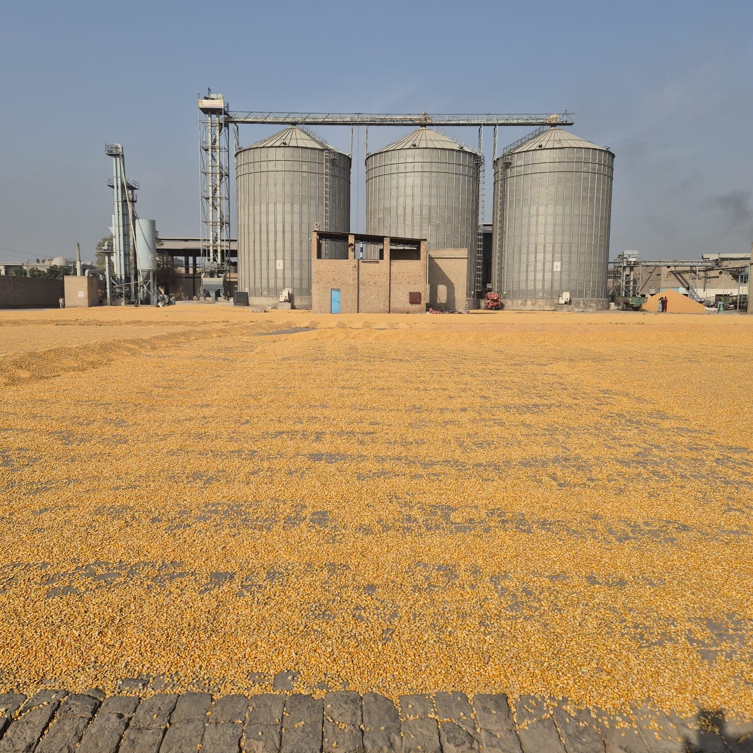 Khalid Modern Industries — Grain storage facility